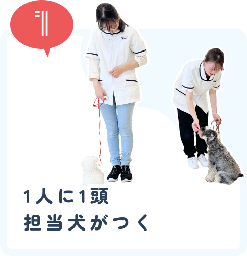 1人に一頭担当犬がつく