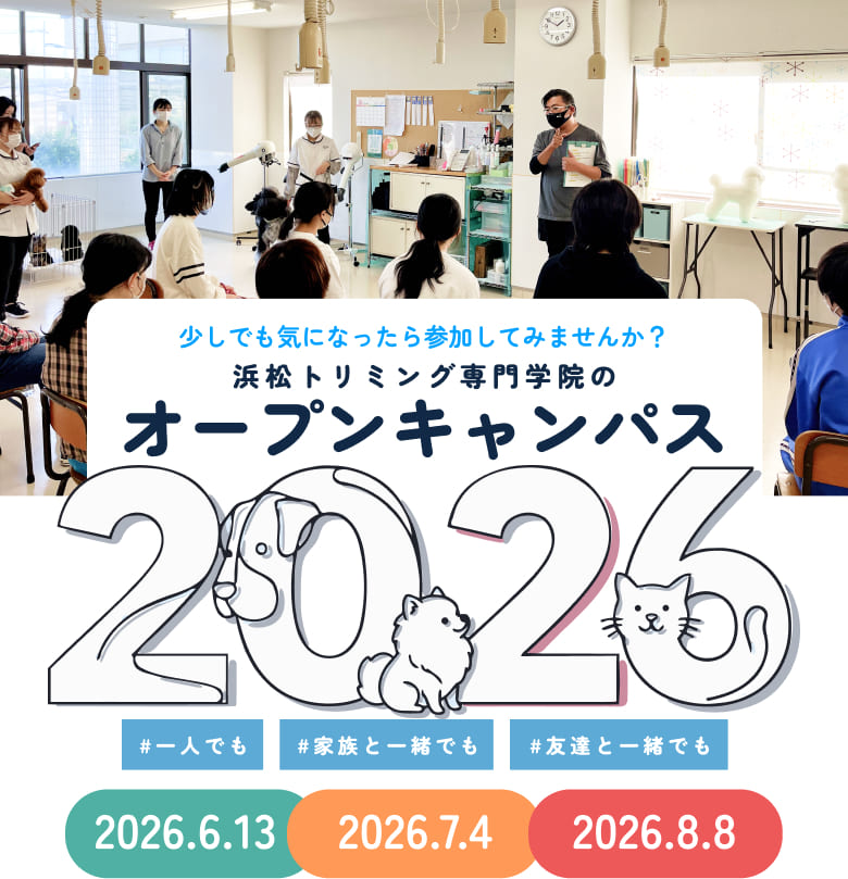 少しでも気になったら参加してみませんか?浜松トリミング専門学院のオープンキャンパス2026【2026.6.13|2026.7.4|2026.8.8】