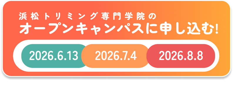 浜松トリミング専門学院のオープンキャンパスに申し込む！【2026.6.13｜2026.7.4｜2026.8.8】